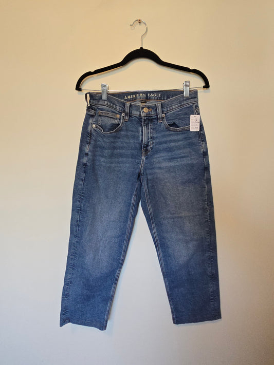 American Eagle 90s Straight - Size 2 Short