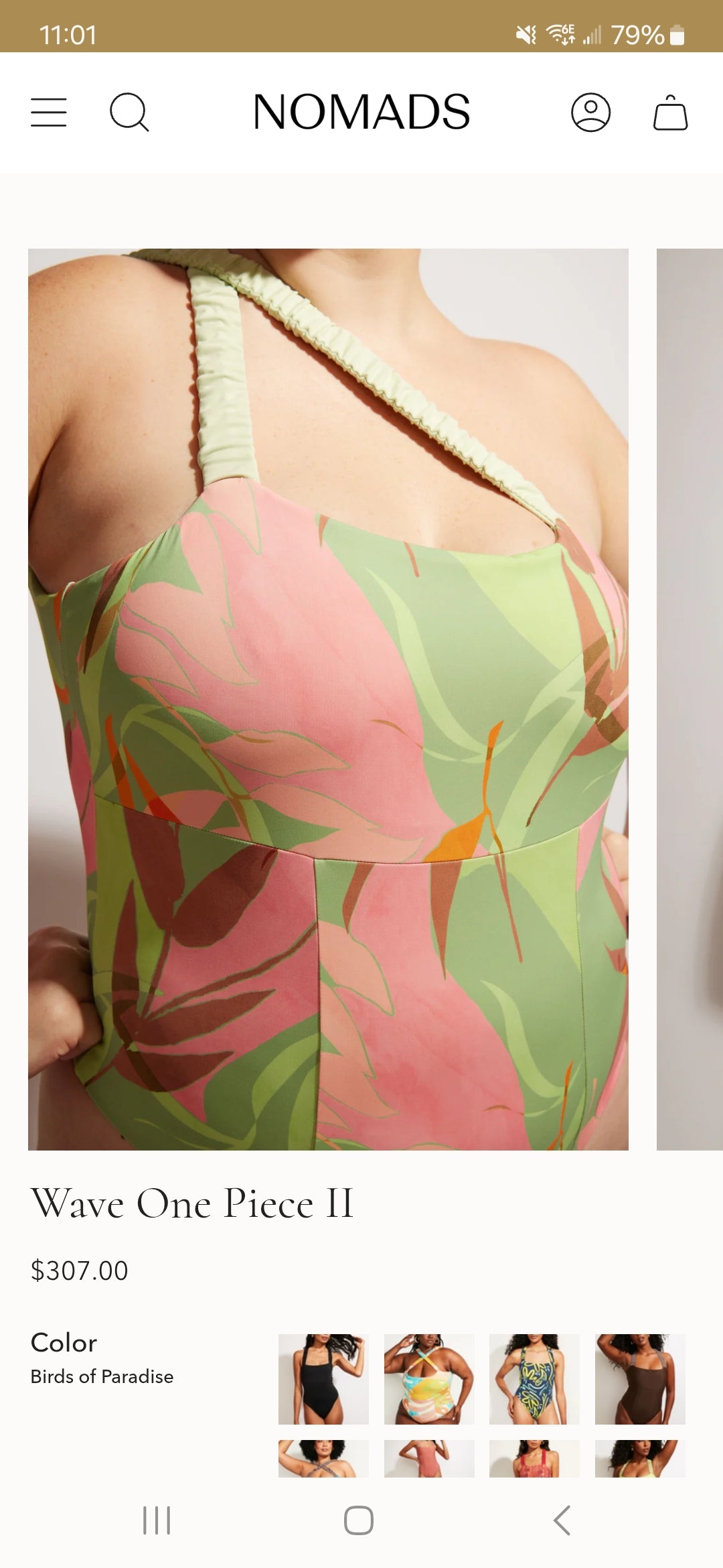 NOMADS Birds of Paradise Wave One-Piece Swimsuit